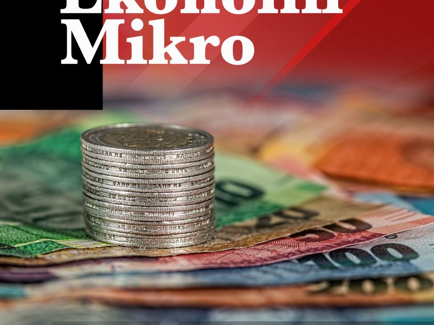 Ekonomi Mikro 2021/3 Feby Musti Ariska, S.P., MSI